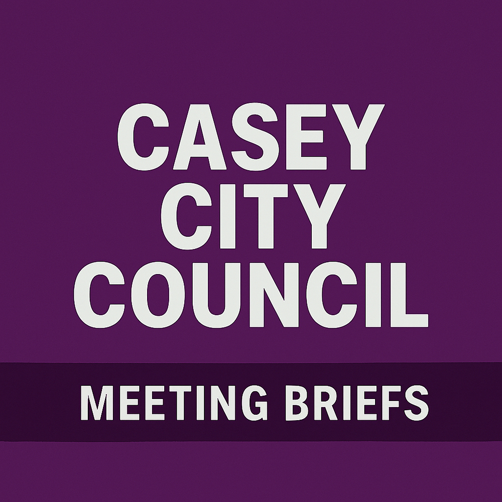 City Council Meeting Briefs.Purple