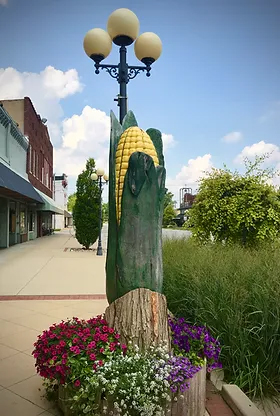 Corn Corn